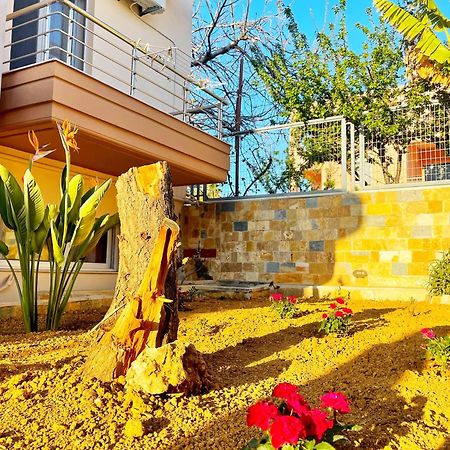Glaros Beach Apartment Kato Daratso Luaran gambar