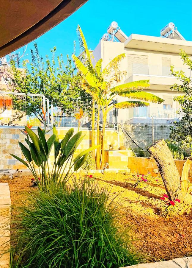 Glaros Beach Apartment Kato Daratso Luaran gambar